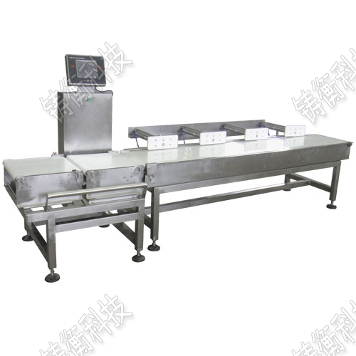 �����x�e��