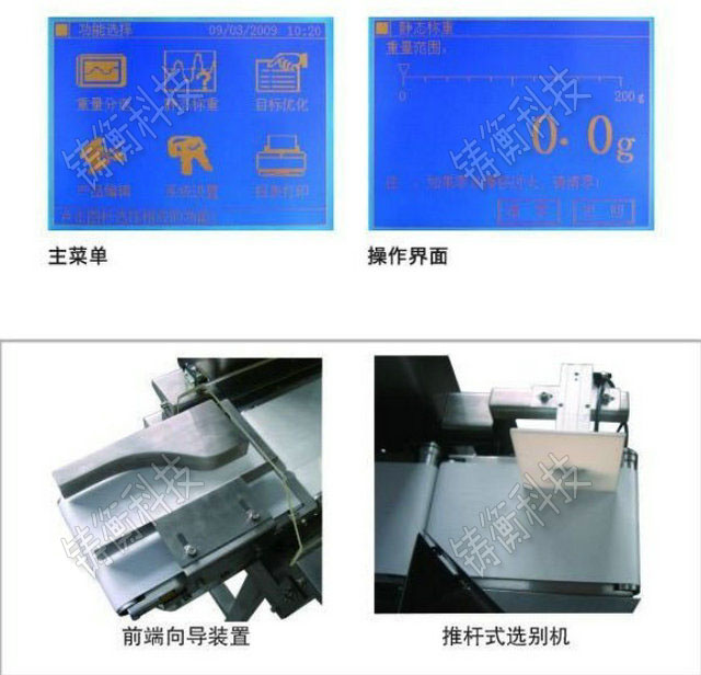 �����x�e�Q